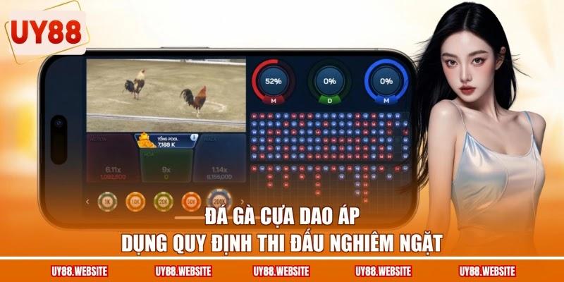 Đá gà cựa dao áp dụng quy định thi đấu nghiêm ngặt Đá gà cựa dao áp dụng quy định thi đấu nghiêm ngặt