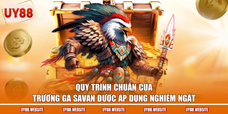 Quy trình chuẩn của trường gà Savan được áp dụng nghiêm ngặt