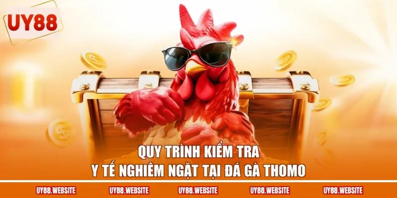 Quy trình kiểm tra y tế nghiêm ngặt tại đá gà Thomo Quy trình kiểm tra y tế nghiêm ngặt tại đá gà Thomo